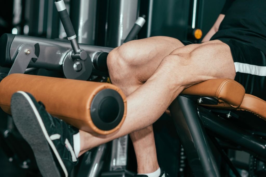 Leg Extension & Leg Curl Machines